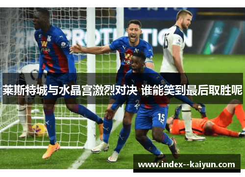 莱斯特城与水晶宫激烈对决 谁能笑到最后取胜呢