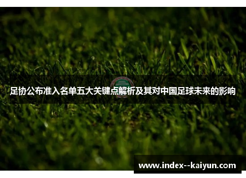 足协公布准入名单五大关键点解析及其对中国足球未来的影响