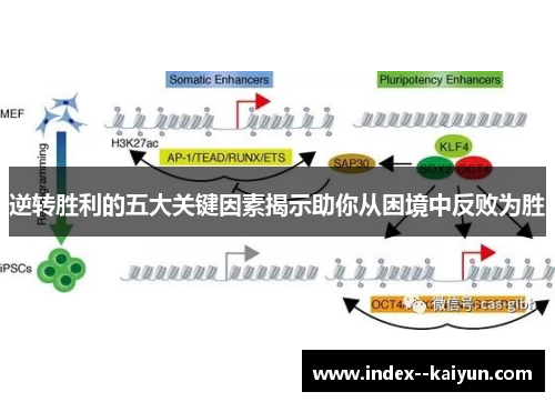 逆转胜利的五大关键因素揭示助你从困境中反败为胜