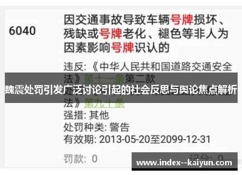 魏震处罚引发广泛讨论引起的社会反思与舆论焦点解析