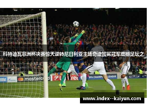 科特迪瓦非洲杯决赛惊天逆转尼日利亚主场奇迹加冕冠军震撼足坛之