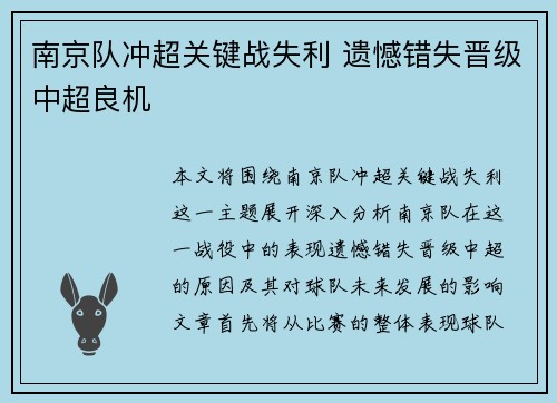 南京队冲超关键战失利 遗憾错失晋级中超良机